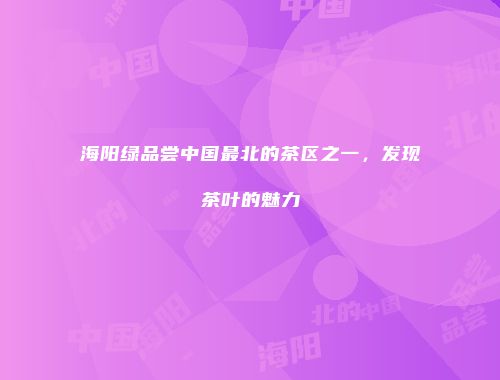 海阳绿品尝中国最北的茶区之一，发现茶叶的魅力