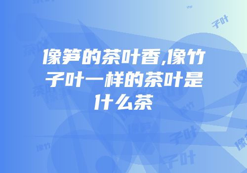 像笋的茶叶香,像竹子叶一样的茶叶是什么茶
