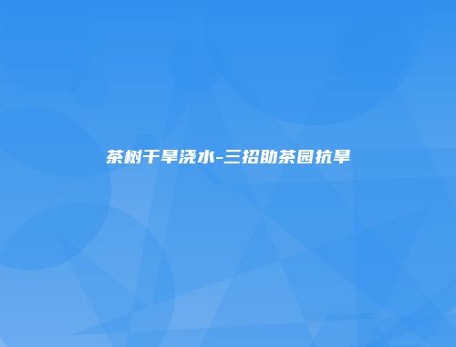 茶树干旱浇水-三招助茶园抗旱