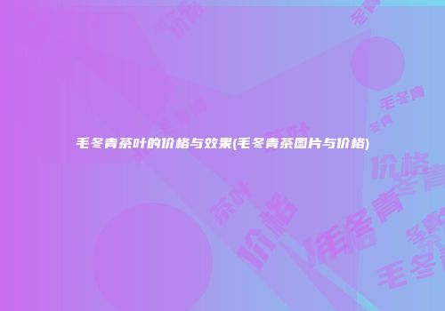 毛冬青茶叶的价格与效果(毛冬青茶图片与价格)