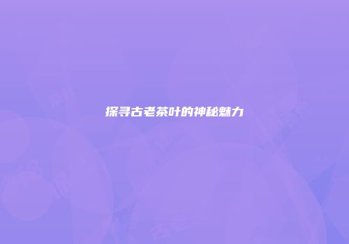 探寻古老茶叶的神秘魅力