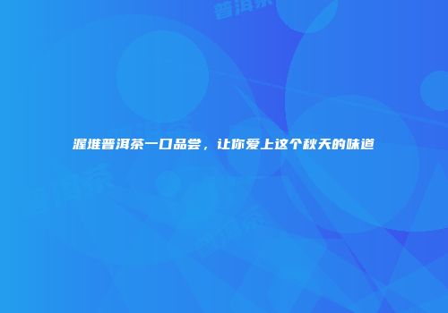 渥堆普洱茶一口品尝，让你爱上这个秋天的味道