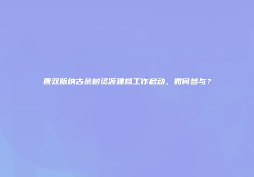 西双版纳古茶树资源建档工作启动，如何参与？