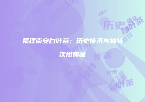 福建南安白叶茶：历史传承与独特饮用体验