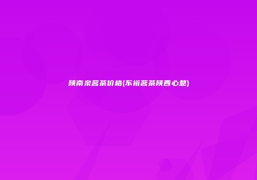 陕南泉茗茶价格(东裕茗茶陕西心意)