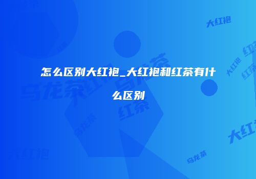 怎么区别大红袍_大红袍和红茶有什么区别