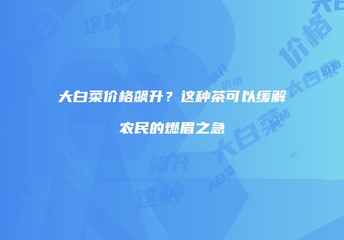 大白菜价格飙升？这种茶可以缓解农民的燃眉之急