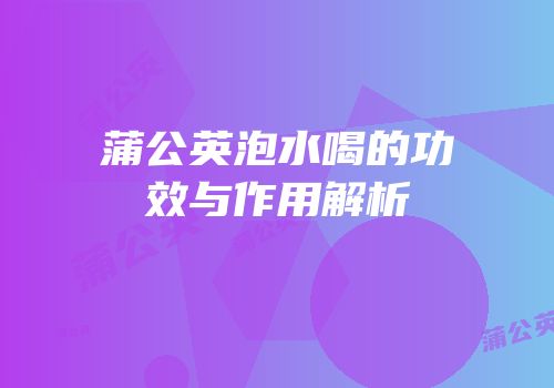 蒲公英泡水喝的功效与作用解析