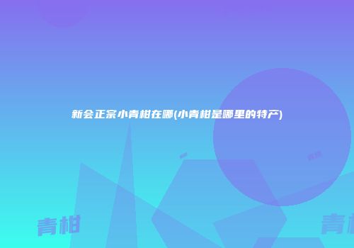 新会正宗小青柑在哪(小青柑是哪里的特产)