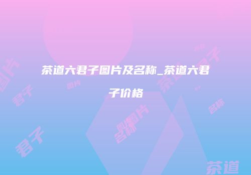 茶道六君子图片及名称_茶道六君子价格