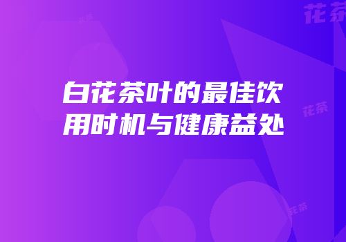 白花茶叶的最佳饮用时机与健康益处