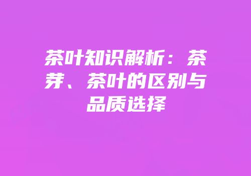 茶叶知识解析：茶芽、茶叶的区别与品质选择