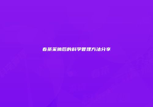 春茶采摘后的科学管理方法分享