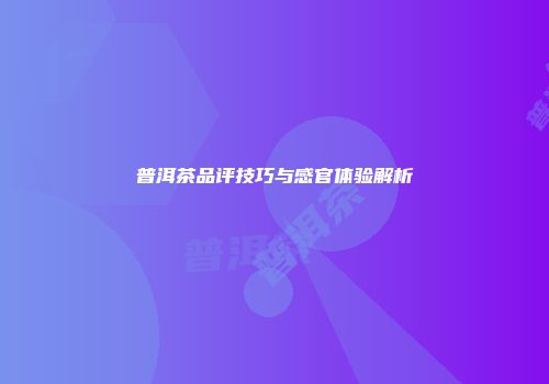 普洱茶品评技巧与感官体验解析