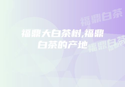 福鼎大白茶树,福鼎白茶的产地