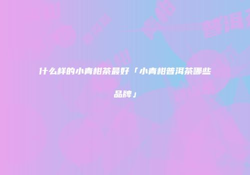 什么样的小青柑茶最好「小青柑普洱茶哪些品牌」