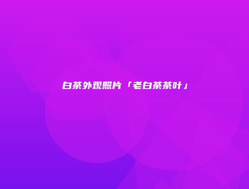 白茶外观照片「老白茶茶叶」