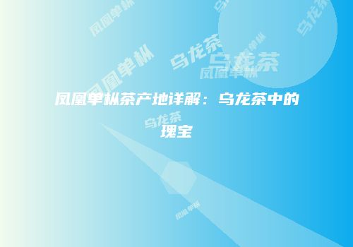 凤凰单枞茶产地详解：乌龙茶中的瑰宝