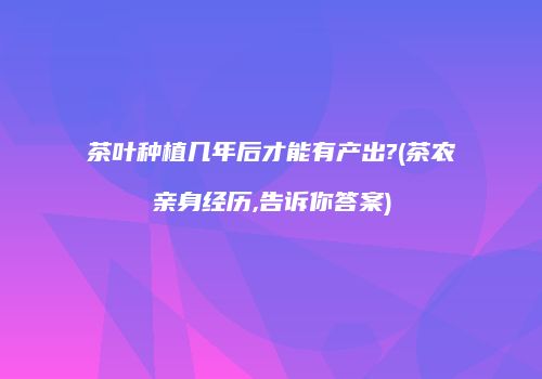 茶叶种植几年后才能有产出?(茶农亲身经历,告诉你答案)