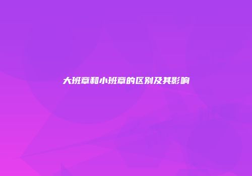 大班章和小班章的区别及其影响