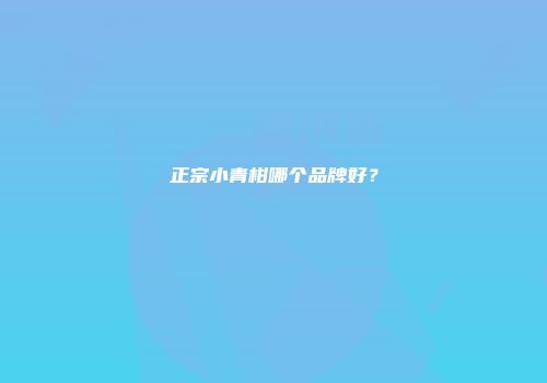正宗小青柑哪个品牌好？