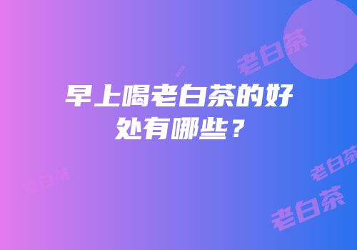 早上喝老白茶的好处有哪些？