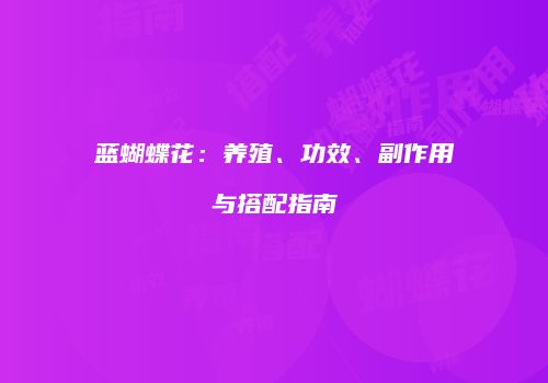 蓝蝴蝶花：养殖、功效、副作用与搭配指南