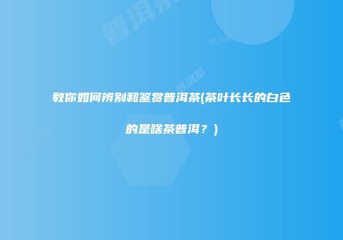 教你如何辨别和鉴赏普洱茶(茶叶长长的白色的是啥茶普洱？)