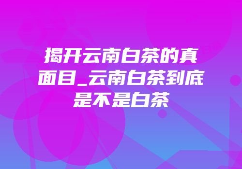 揭开云南白茶的真面目_云南白茶到底是不是白茶