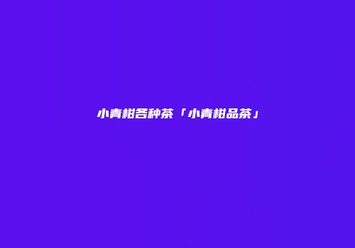 小青柑各种茶「小青柑品茶」