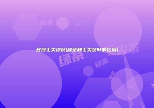 日照毛尖绿茶(绿茶和毛尖茶叶的区别)