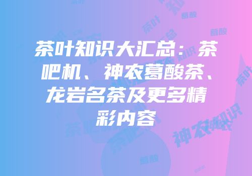 茶叶知识大汇总：茶吧机、神农葛酸茶、龙岩名茶及更多精彩内容