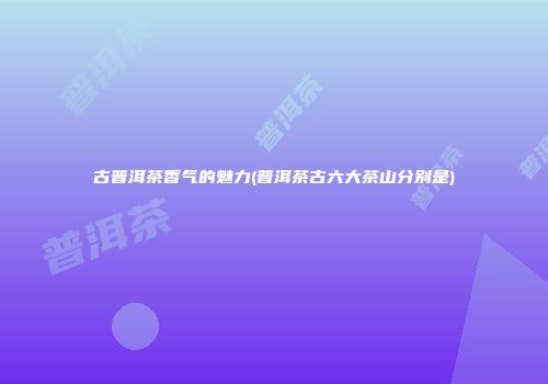 古普洱茶香气的魅力(普洱茶古六大茶山分别是)