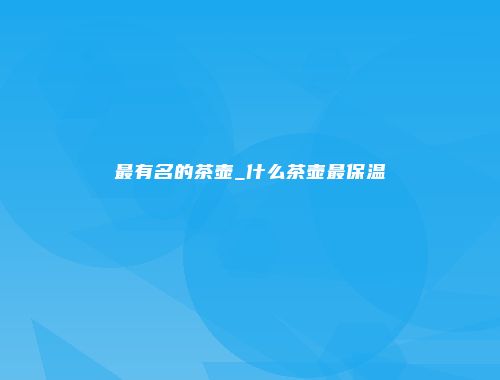 最有名的茶壶_什么茶壶最保温