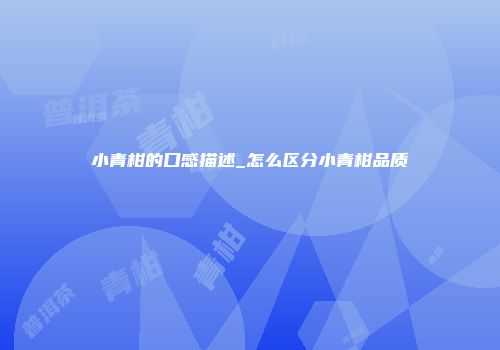小青柑的口感描述_怎么区分小青柑品质