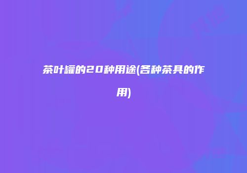 茶叶罐的20种用途(各种茶具的作用)
