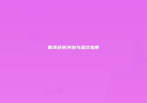 普洱茶砖冲泡与品饮指南