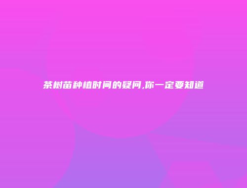 茶树苗种植时间的疑问,你一定要知道