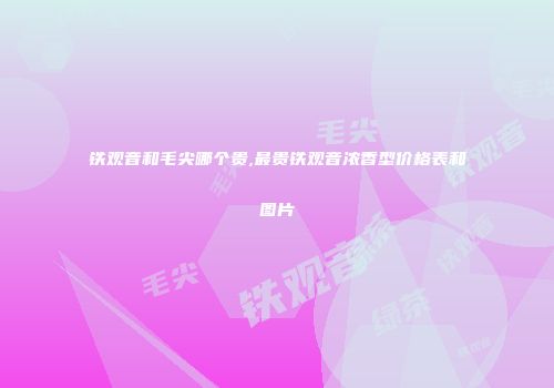 铁观音和毛尖哪个贵,最贵铁观音浓香型价格表和图片