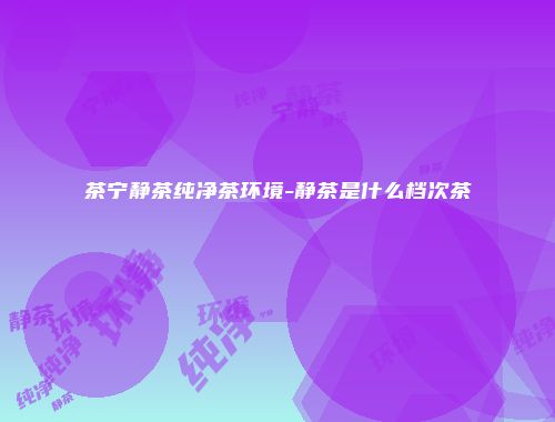 茶宁静茶纯净茶环境-静茶是什么档次茶