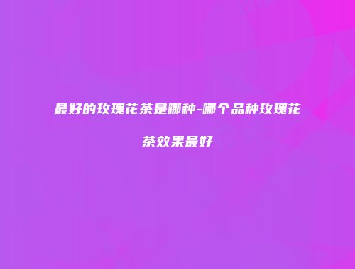 最好的玫瑰花茶是哪种-哪个品种玫瑰花茶效果最好