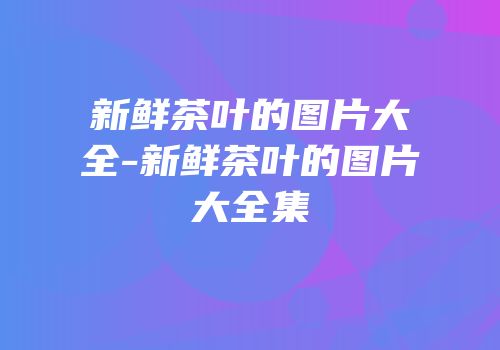 新鲜茶叶的图片大全-新鲜茶叶的图片大全集