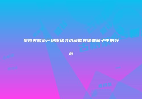 景谷古树茶产地探秘寻访藏匿在哪些寨子中的好茶