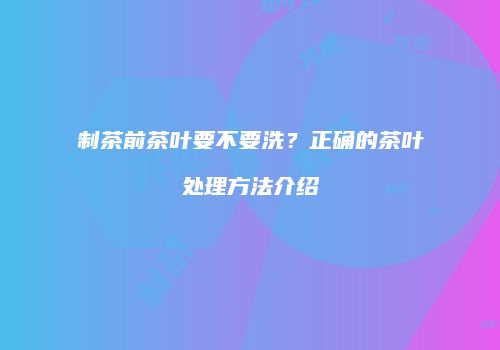 制茶前茶叶要不要洗？正确的茶叶处理方法介绍