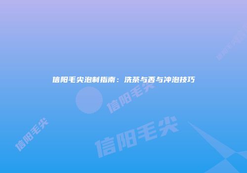 信阳毛尖泡制指南：洗茶与否与冲泡技巧