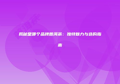 揭秘堂哪个品牌普洱茶：独特魅力与选购指南