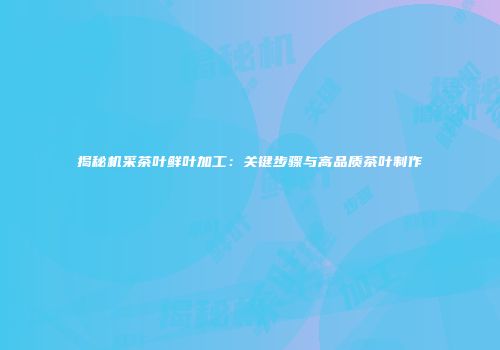 揭秘机采茶叶鲜叶加工：关键步骤与高品质茶叶制作