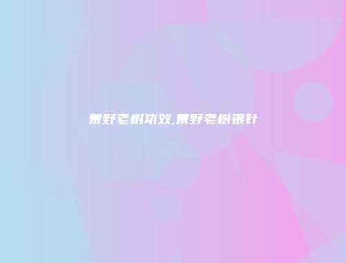 荒野老树功效,荒野老树银针