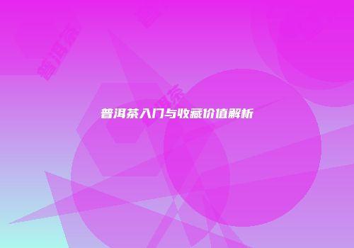 普洱茶入门与收藏价值解析