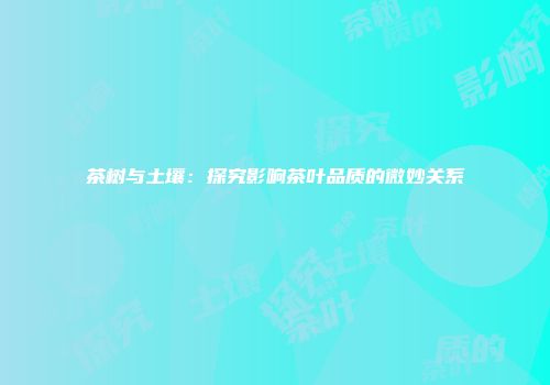 茶树与土壤：探究影响茶叶品质的微妙关系